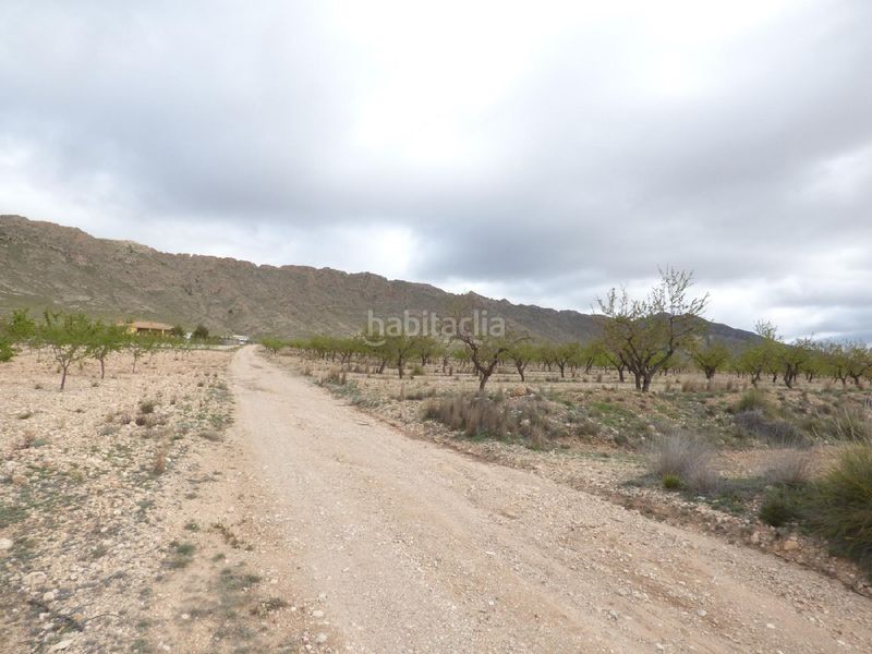 Foto 53eacef2-ff69-4f35-b660-96c6cd443a9f. Finca rústica a Jumilla