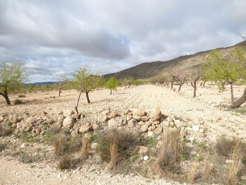 Foto 5f15574b-e40f-4e8c-8c17-d4ddfd2e9780. Finca rústica a Jumilla