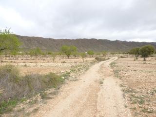 Finca rústica en Jumilla. Promociones inmobiliarias palmera murcia s.l.