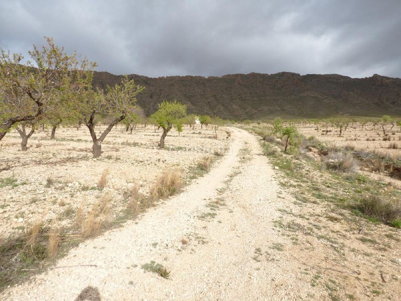 Foto 81d2e507-4c5a-48a7-8ea0-dfa6c22d5908. Finca rústica a Jumilla