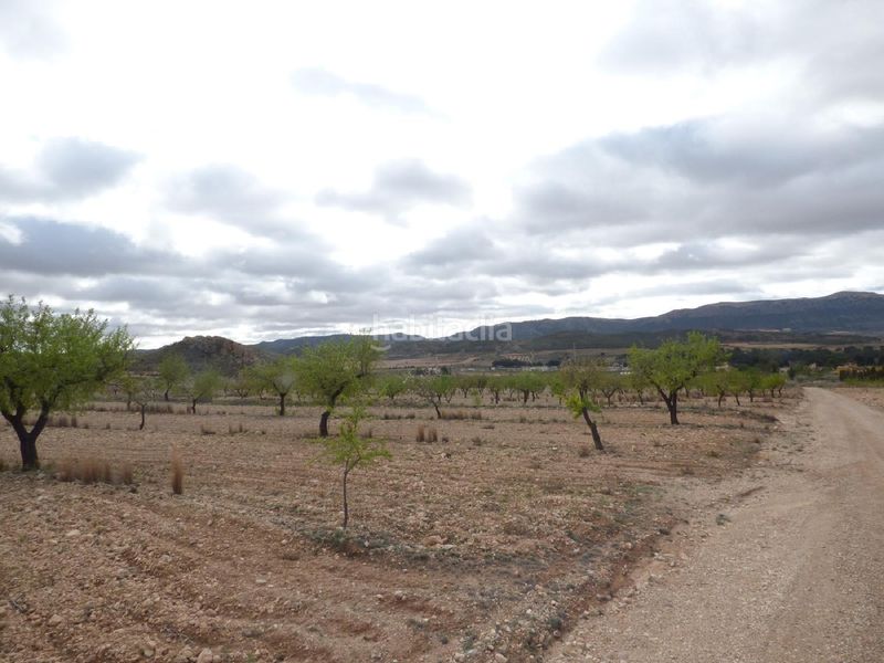 Foto 83b10822-c4a0-4383-8de3-a2333110af49. Finca rústica a Jumilla