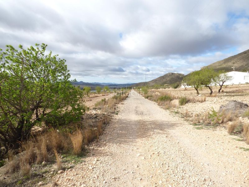 Foto a4e8585a-9a65-4aa1-a739-75ff9c9dfcdc. Finca rústica a Jumilla