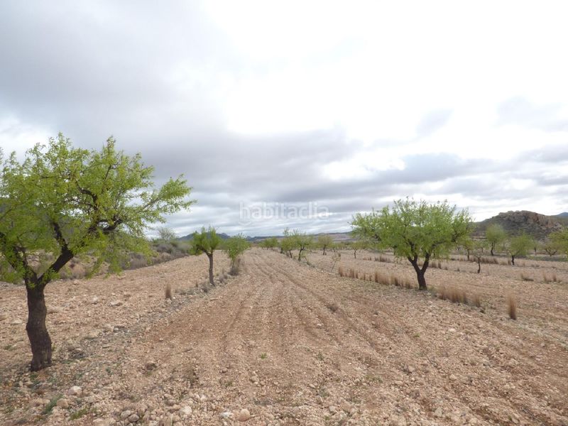 Foto b9d55ef7-204e-41cc-9a81-362919093394. Finca rústica a Jumilla