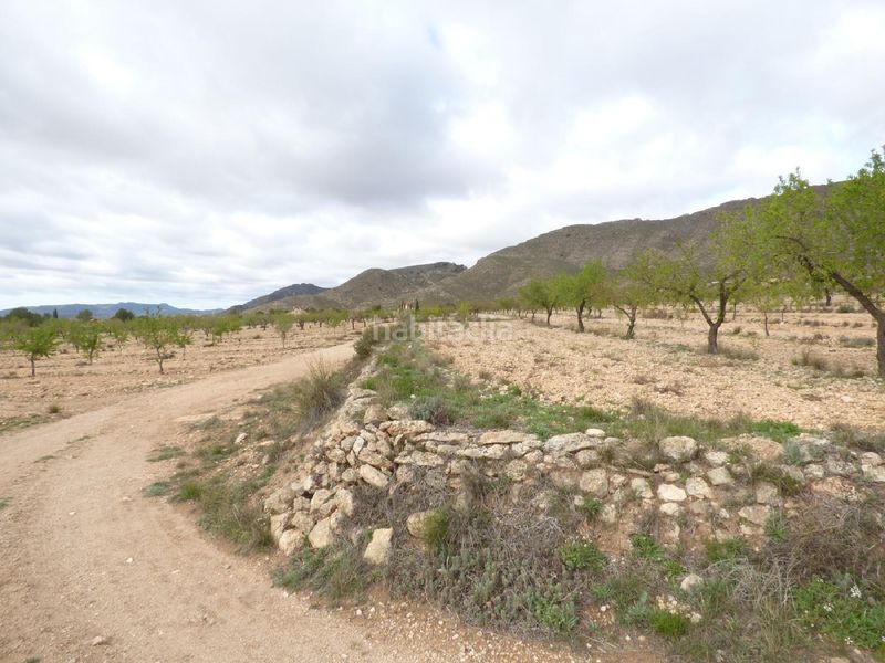 Foto bb41d99a-6946-46eb-8074-29df032049fa. Finca rústica a Jumilla
