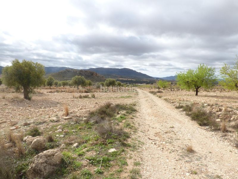 Foto be11c38b-b4f0-4a86-a239-e1630d994cfe. Finca rústica a Jumilla