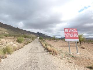 Finca rústica en Jumilla. Promociones inmobiliarias palmera murcia s.l.
