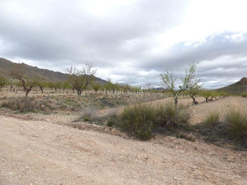 Foto ca43798c-2433-4735-8b38-84159cb212a5. Finca rústica a Jumilla
