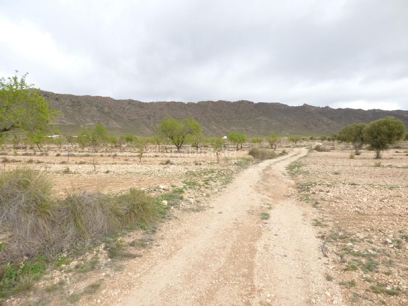 Foto d04259a4-048c-4e73-b625-e874a85c7a74. Finca rústica a Jumilla