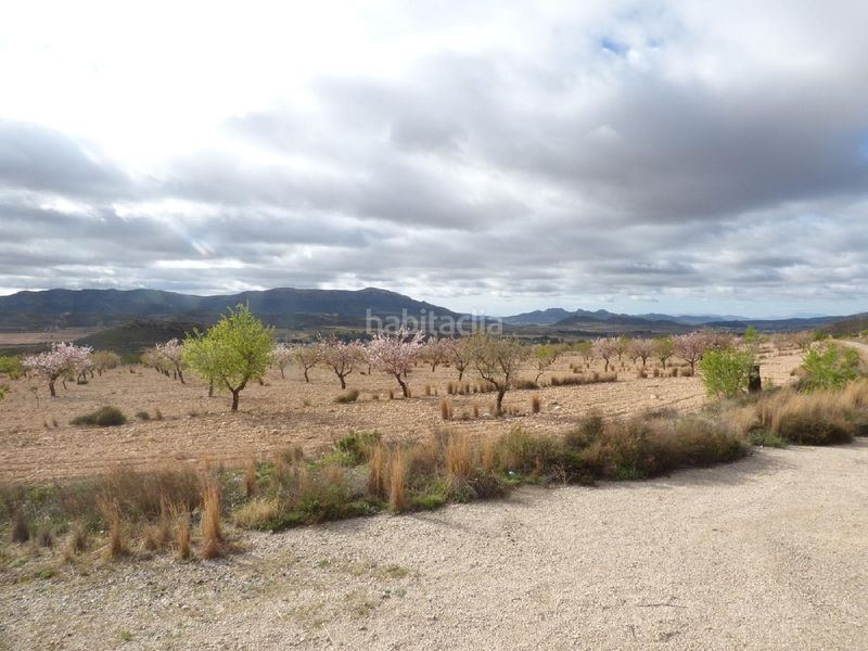 Foto f530a8f1-9336-4c48-97f9-363fc1d2edc5. Finca rústica a Jumilla