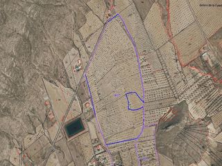 Finca rústica en Jumilla. Promociones inmobiliarias palmera murcia s.l.
