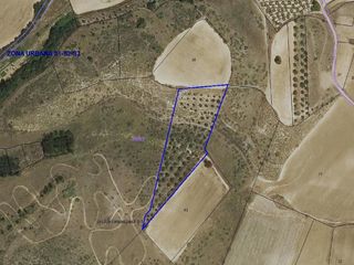 Finca rústica a Tórtola de Henares