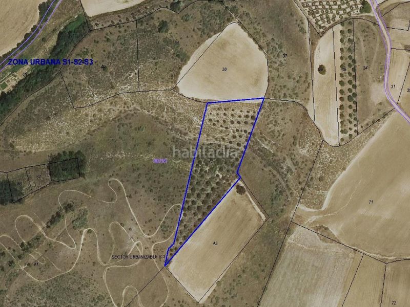 Foto adbba196-429d-4295-aa8c-628885745be7. Finca rústica a Tórtola de Henares