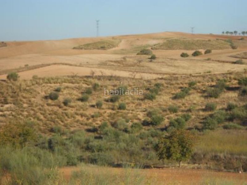 Foto fdd6b7b9-46b6-4a0a-98fe-1f7eeea9f2e7. Finca rústica a Tórtola de Henares
