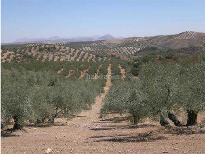 Foto 0610c281-82b5-49d3-ba63-cd105593bdf6. Wohngrundstück in Jauja Lucena