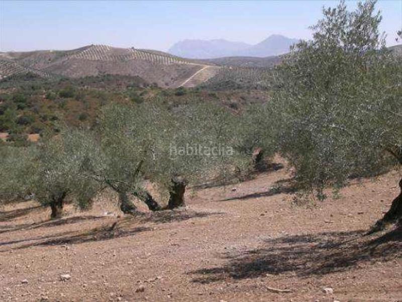 Foto 09493969-2883-4aff-a95f-7d200c698071. Wohngrundstück in Jauja Lucena