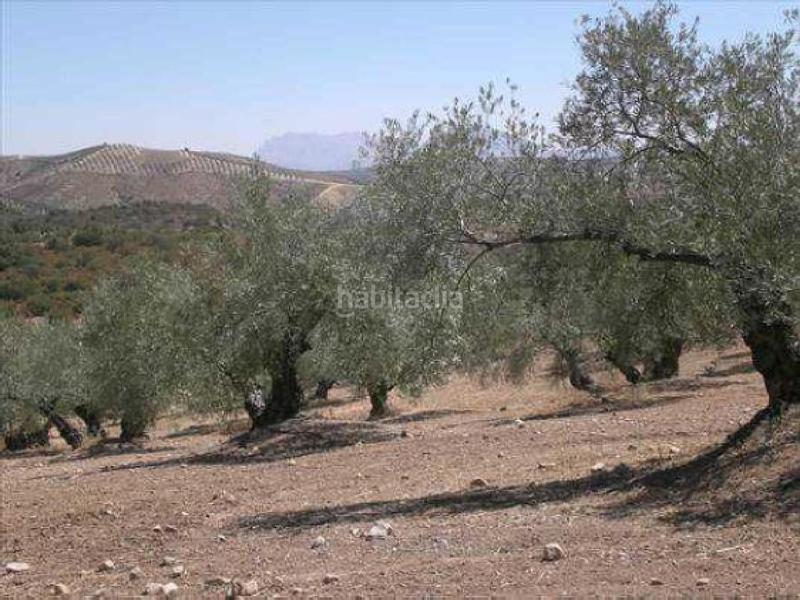 Foto 26970fcc-6df0-4b33-86cd-71298d5dc3e4. Wohngrundstück in Jauja Lucena