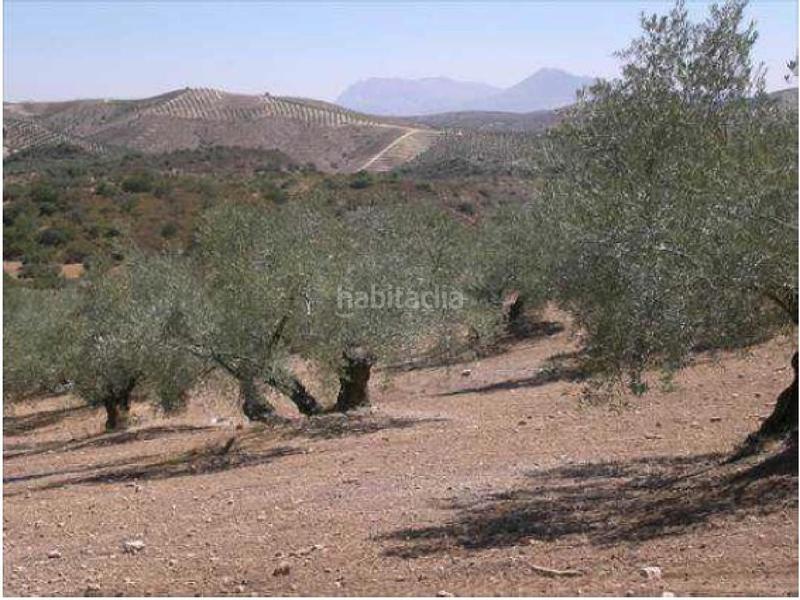 Foto 46b1331a-0d69-46cc-8b53-2050e688e19c. Wohngrundstück in Jauja Lucena