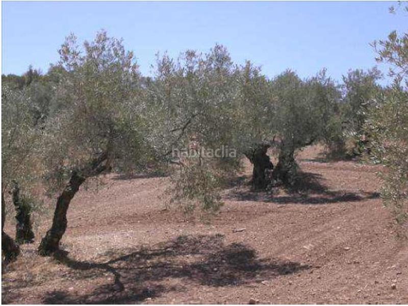 Foto a243b909-413a-4c72-a65f-94fcbdcb2019. Wohngrundstück in Jauja Lucena