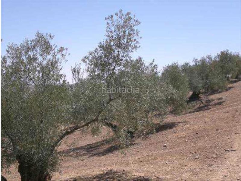 Foto eccffcd2-d6d3-4e75-8e99-b2592bd3db67. Wohngrundstück in Jauja Lucena