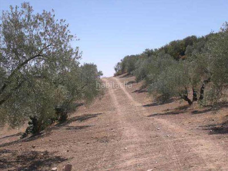 Foto ef9f938c-069d-4ec4-bf43-f8e778e1f265. Wohngrundstück in Jauja Lucena