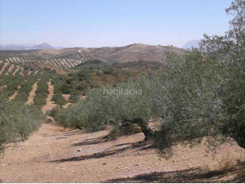 Foto f005a633-6ddd-4fe9-9d9e-9530272cb0d7. Wohngrundstück in Jauja Lucena