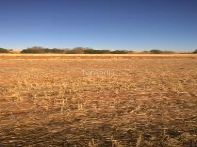 Foto d67d37aa-b98b-43a5-bec8-f5a5dea437c3. Terreno residenziale in Larache Ciudad Real