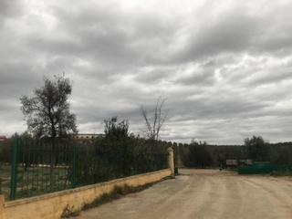Terreny residencial a Marchena. Px los angostillos   sevilla sevilla