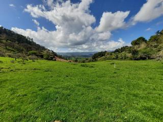 Terreny residencial a Villaviciosa - Amandi. Casavillaviciosacl fuentes sn