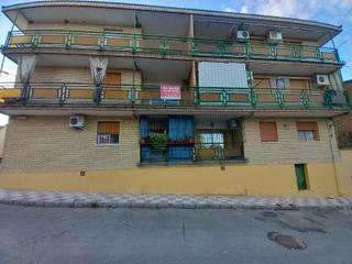 Pis a Arjonilla. Cl general sanmartin 3 5 1 f arjonilla jaen