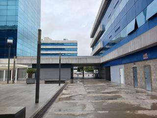 Oficina en Palmete. Pino estrobo