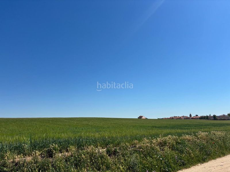 Foto 4e9b3465-1c5a-4a08-851b-8bf04418575c. Finca rústica a Medina del Campo