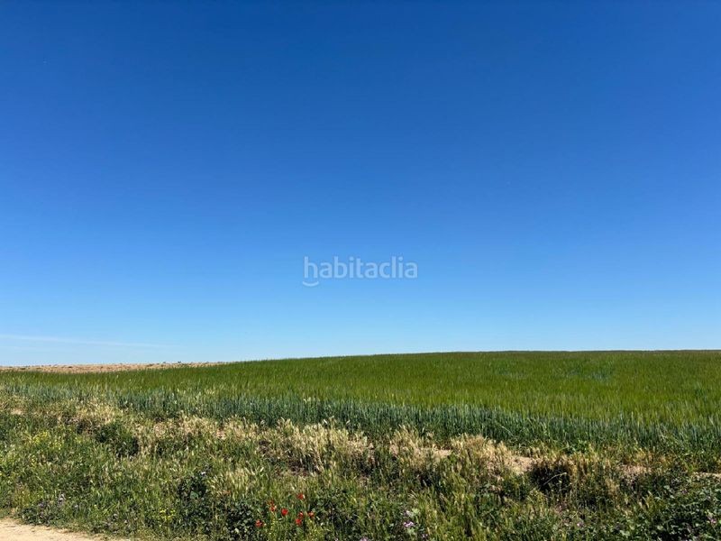 Foto 957f8e67-ff26-4c6c-a569-76d0714f61c0. Finca rústica a Medina del Campo