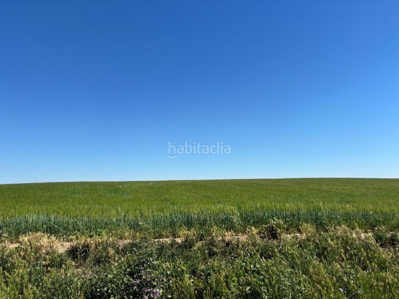 Foto daf4e06a-184d-4a61-a6ef-fd4d987f0a49. Finca rústica a Medina del Campo