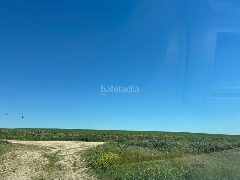 Foto f99f68db-a235-4a52-be2b-c7aa75f92436. Finca rústica a Medina del Campo