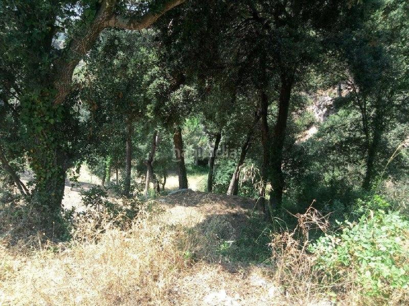 Foto d2c9a419-4623-419d-ac56-74b46b9d6870. Terreno residencial suelo en Can Massuet del Far Dosrius