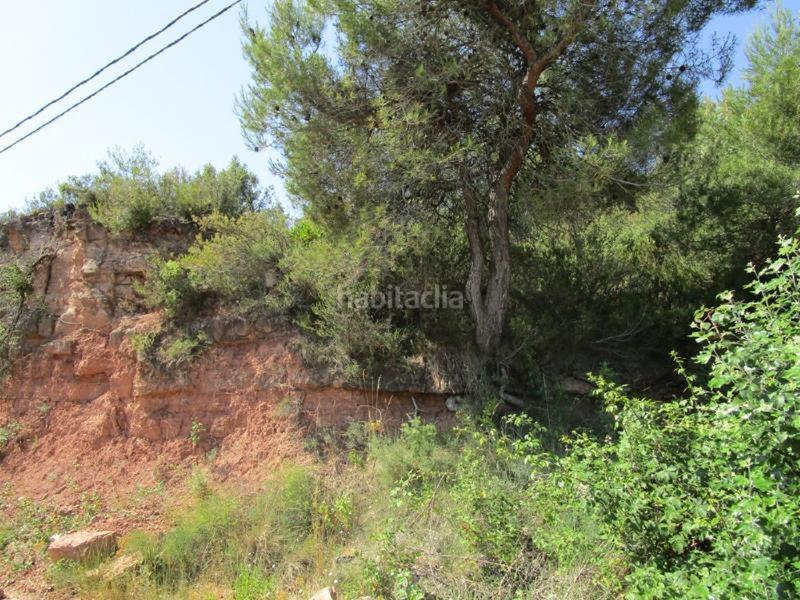 Foto a29c80ce-5315-44ff-a6f8-61c20e53d803. Terrain résidentiel dans Vacarisses