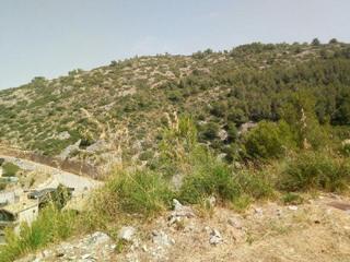 Terreny residencial a Levantina - Montgavina - Quintmar. Suelo