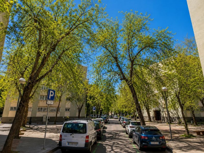 Foto be89b03a-ba3c-4bb4-a1a5-827a2a3184b5. Pis a Sant Martí de Provençals Barcelona