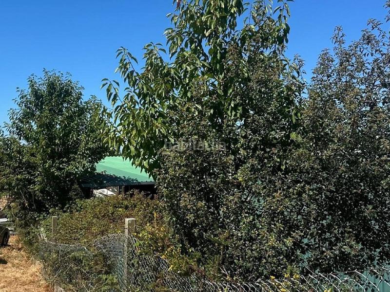 Foto 75c7234f-c4e2-4793-aebd-e0c05ddc4267. Terreny residencial a Pazos de Borbén