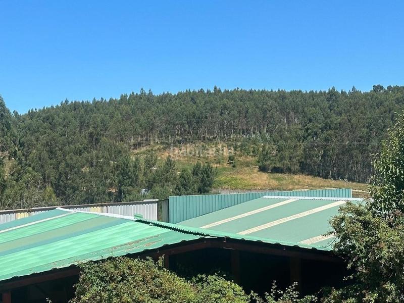 Foto fb9d710f-9be1-4399-a495-58bd986911da. Terreny residencial a Pazos de Borbén