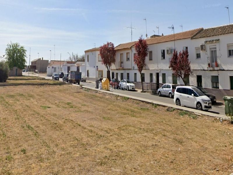 Foto 010b8545-31eb-4bd1-8e26-dca64e2f7e84. Pis a Daimiel