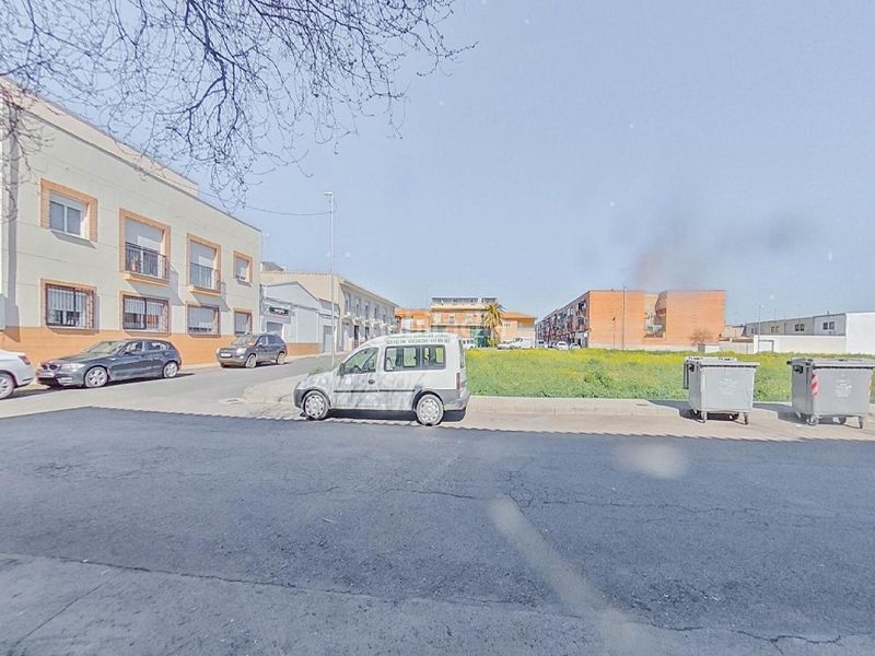 Foto dc33cd1b-77c0-4b0d-b2b6-194a885e6923. Pis a Daimiel