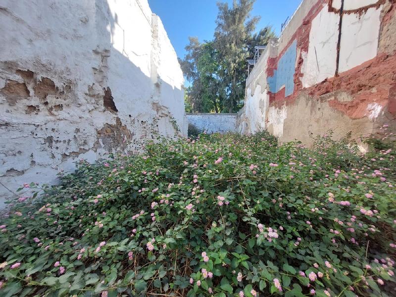 Foto c79c45f2-d8e1-4bc8-96b4-208df2334dee. Wohngrundstück in Torre Cruz - Los Molinos Utrera