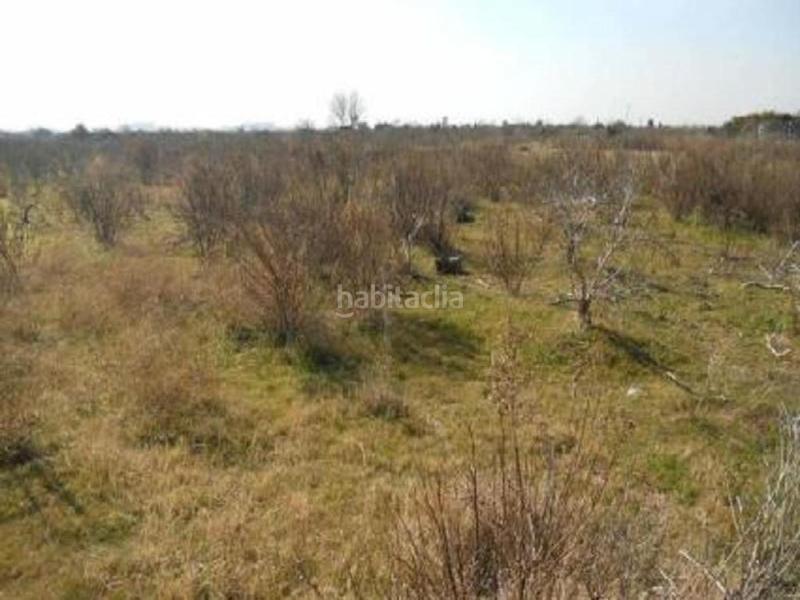 Foto 6ba794b2-816a-489c-af7a-1ad18b086720. Terreno residencial sector suztr1 pol 3 en Chilches