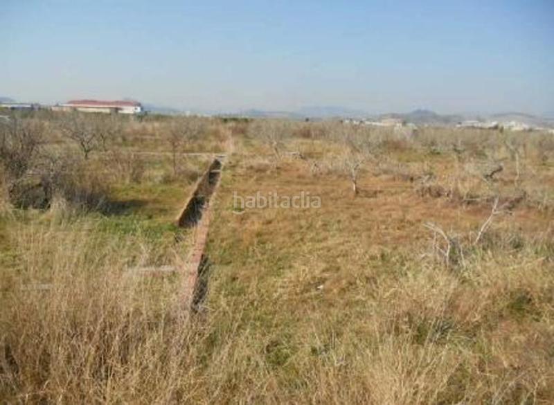 Foto 7bda8cd8-2ce8-495e-a808-9470751661e7. Terreno residencial sector suztr1 pol 3 en Chilches
