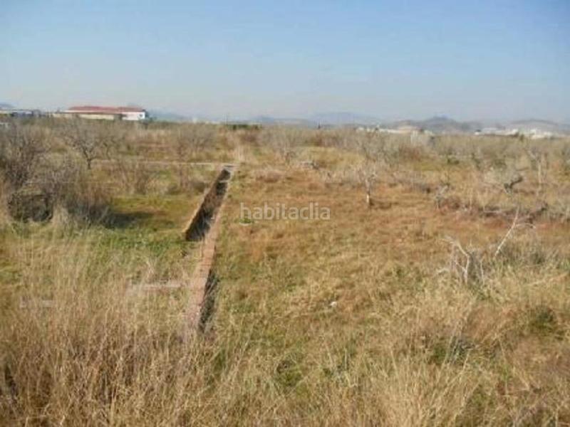 Foto 8acada98-af92-49fc-9e7c-27f3b375ced1. Terreno residencial sector suztr1 pol 3 en Chilches