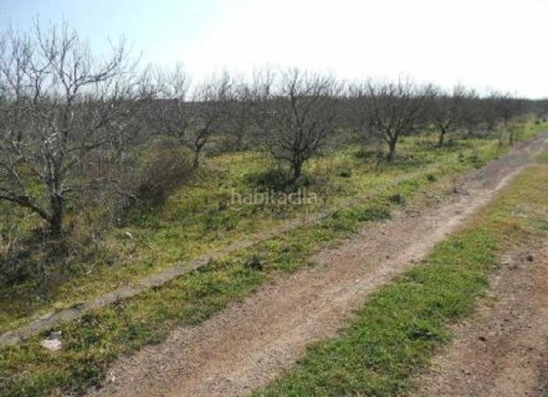 Foto aa928a89-cab8-46cd-bc72-a511355e25ac. Terreno residencial sector suztr1 pol 3 en Chilches