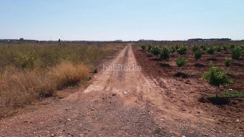 Foto f8d45587-7d4f-458f-8b6f-1e6d03633a98. Terreno residencial sector suztr1 pol 3 en Chilches