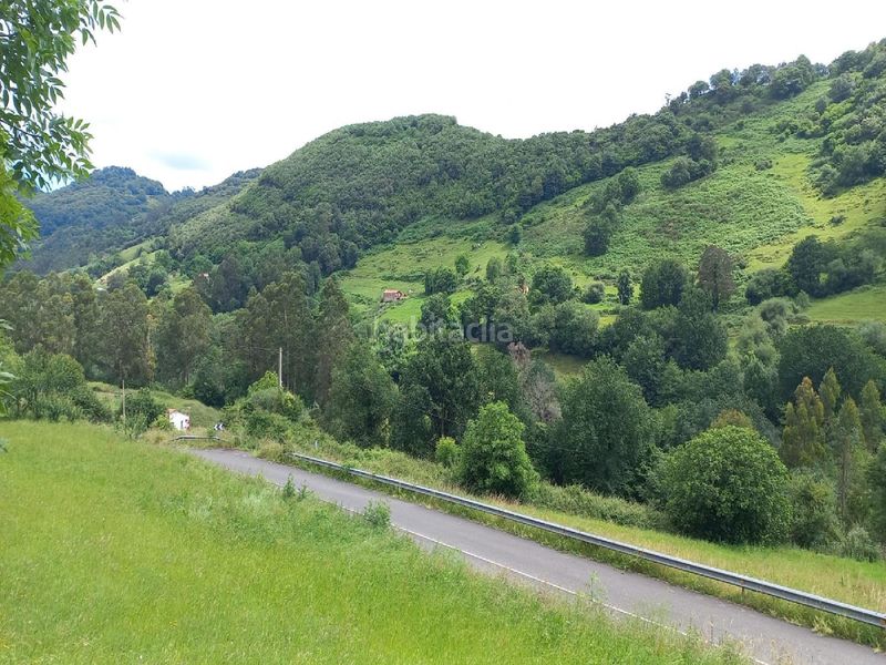 Foto ffb845c6-c00b-46a8-b25a-80712369946a. Finca rústica a Ampuero