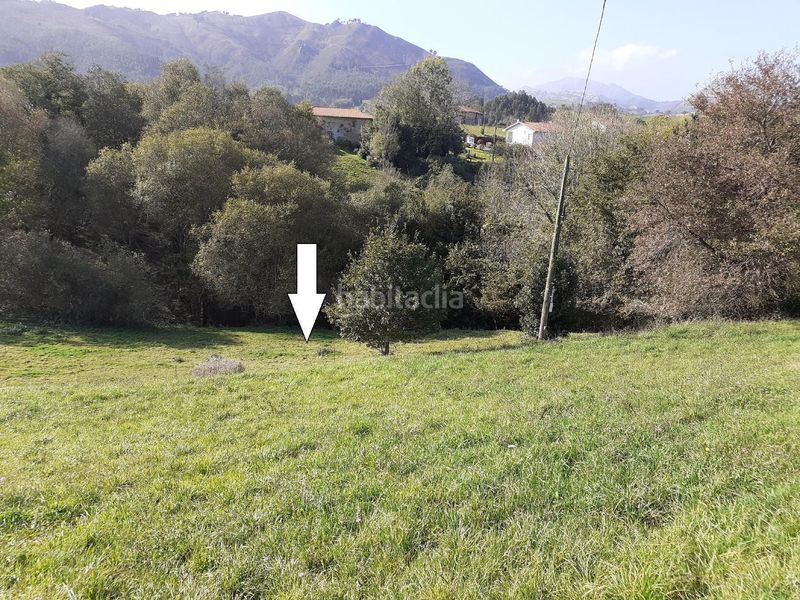 Foto 8b6b2eeb-8da4-4399-8639-8741c45726e2. Finca rústica a Ribadesella